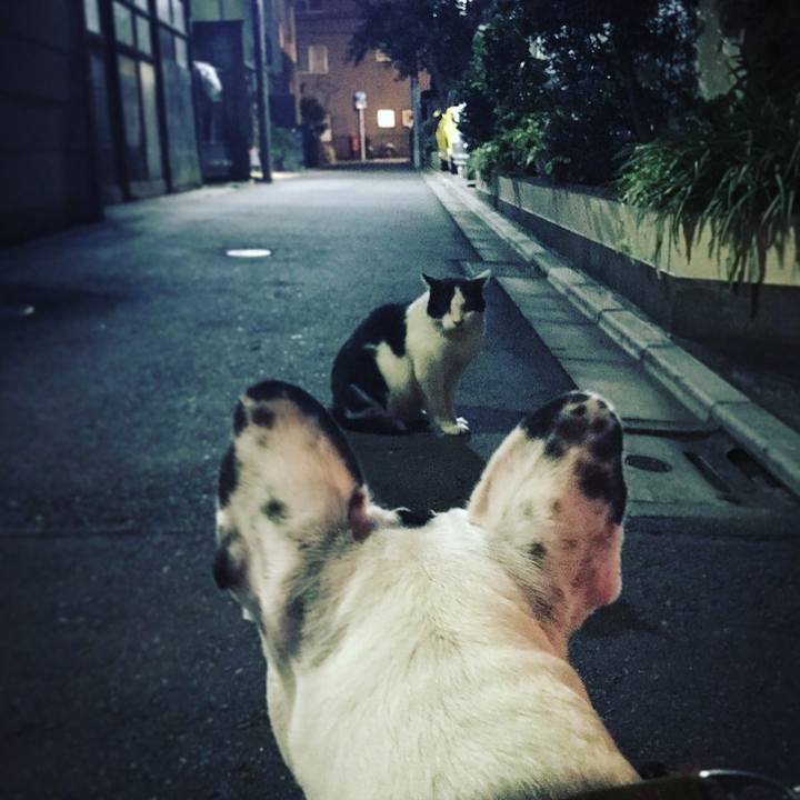 E8d8347f 5a0b 4d77 abf0 c0d474d328fd