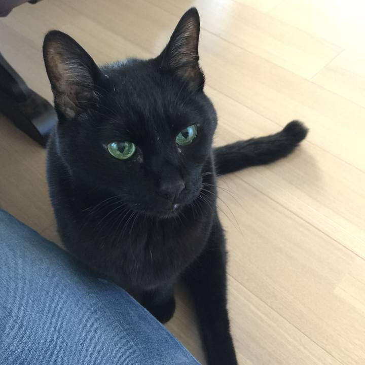 E8d92d52 f826 47fa 9c2e 7414c10be597