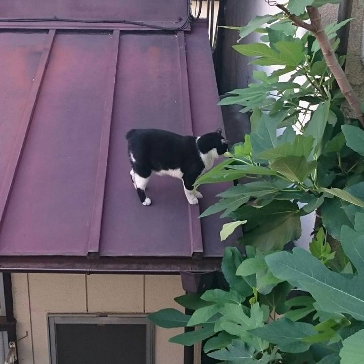 E8d98b49 73fc 4225 a7d8 beef704b9424