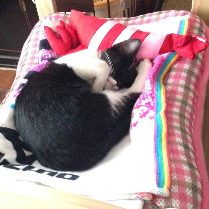 E8db500b 3f10 4aef ab04 aa4bc0143231