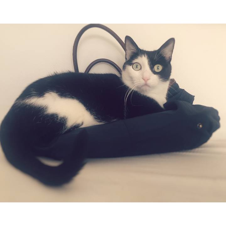 E8db5462 7b96 4151 85e0 c0fd6ae75ec6