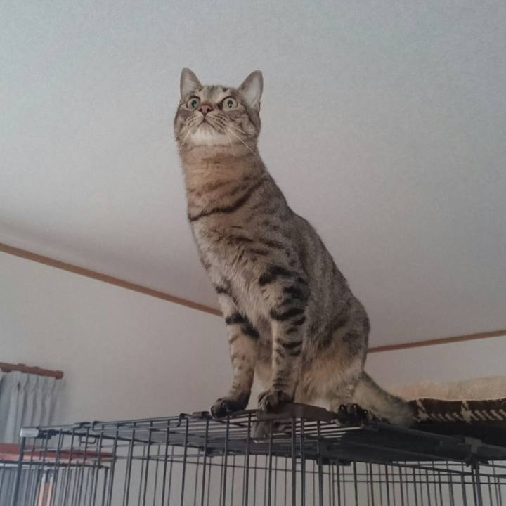 E8db7e7c 2794 4544 b2b6 87a40cf075e9