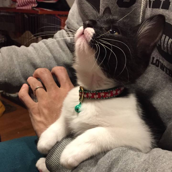 E8dbb85d 0d22 48e3 9cca 706f4f88abe0