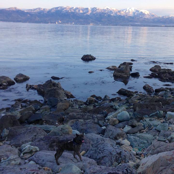 E8dbf20a f52d 4e43 8229 190eeab4add3