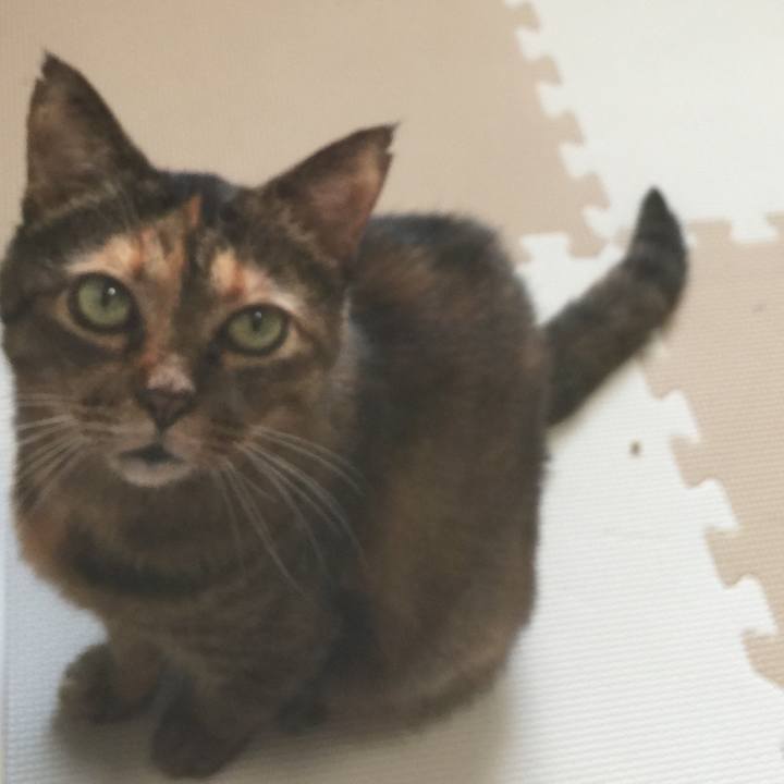 E8dc2b9e d302 4645 9be4 f1e536786a8f