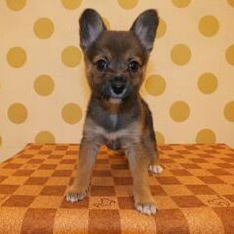 E8dc469d ab99 4212 a8e3 9ddbd2fbf31a