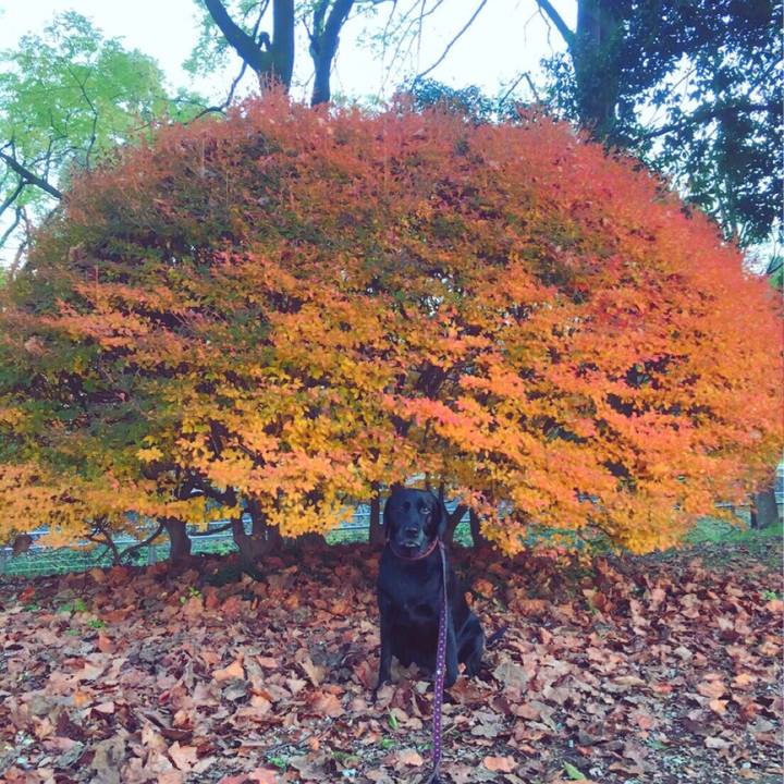 E8dd1362 451a 40ad 8a87 585298964f37