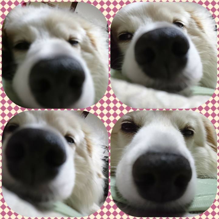 E8dd9318 75d8 4133 825e 623b9262674e