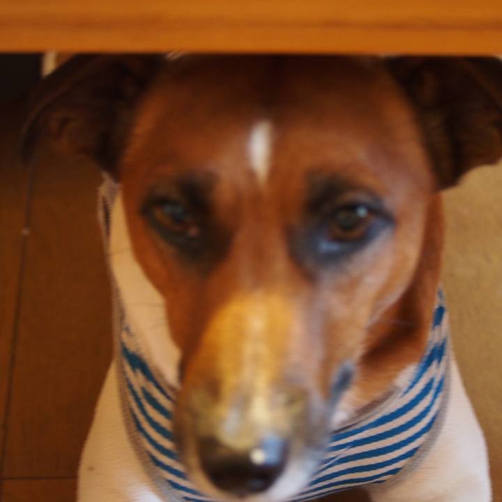 E8de7230 fd3e 43f0 aedc a11f7281b74b