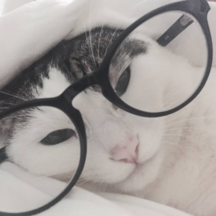 E8decc17 7080 4f6e b9c9 edc8a718e9c0