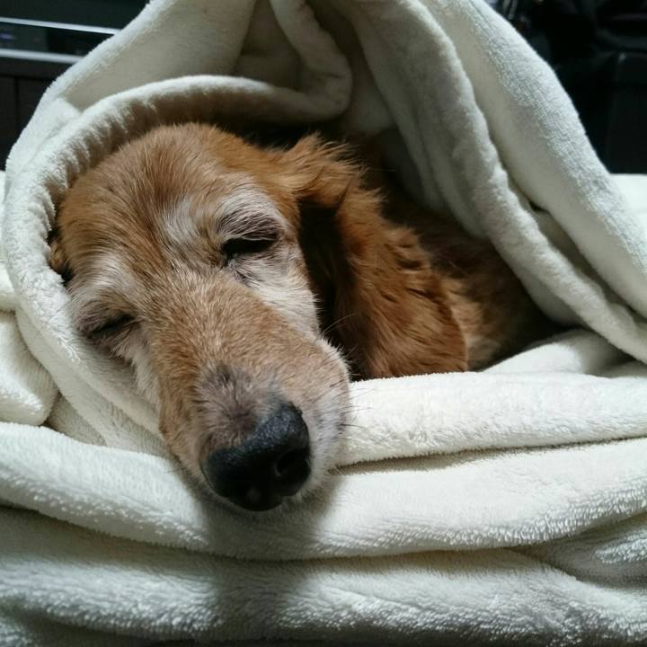 E8df4632 e6bc 4cd4 8e83 df8c227d83ea