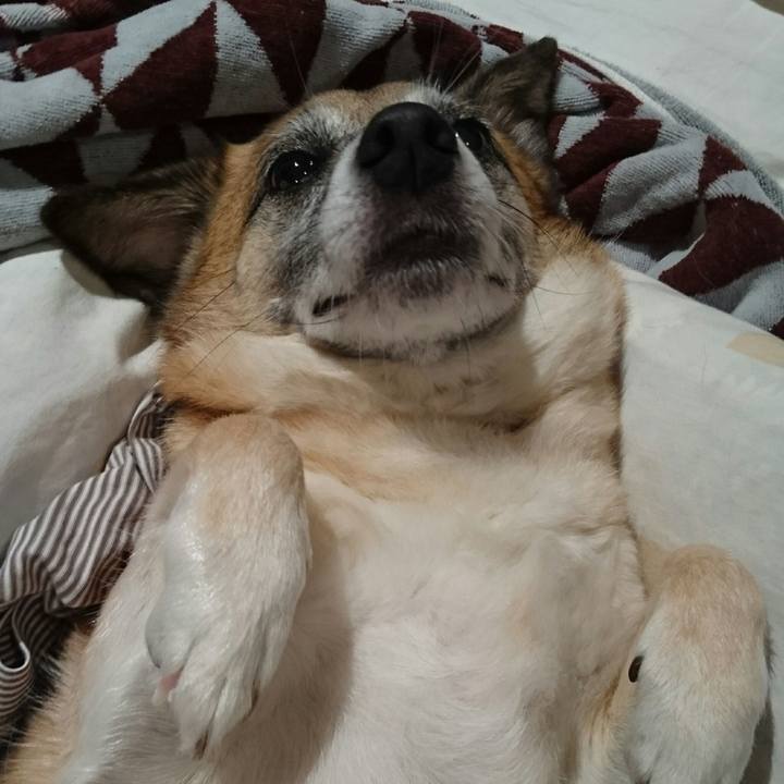 E8df99eb bd32 4321 a7ee 77f0b03202c6