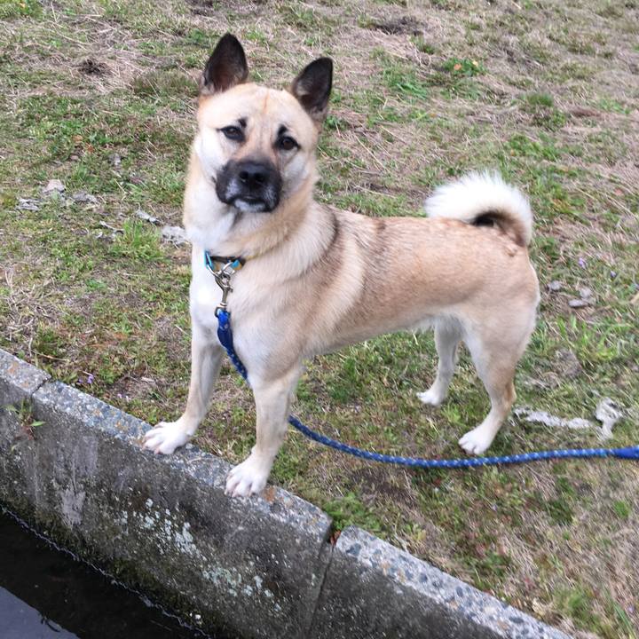 E8e003b3 60ec 4c32 bf60 498f8d2dd979