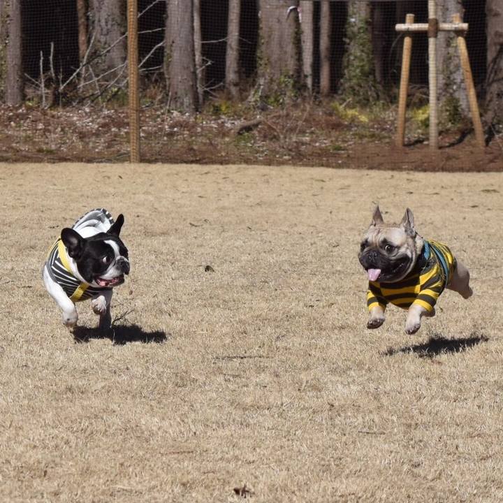 E8e0382d 5bfa 4402 9163 b0133d3893bd