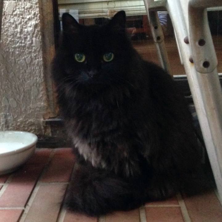 E8e14c4c fb28 4f86 adf8 8c68375629ed