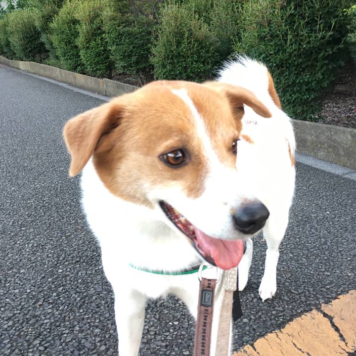 E8e16c89 9421 4180 8eba 27e5272cc9ba