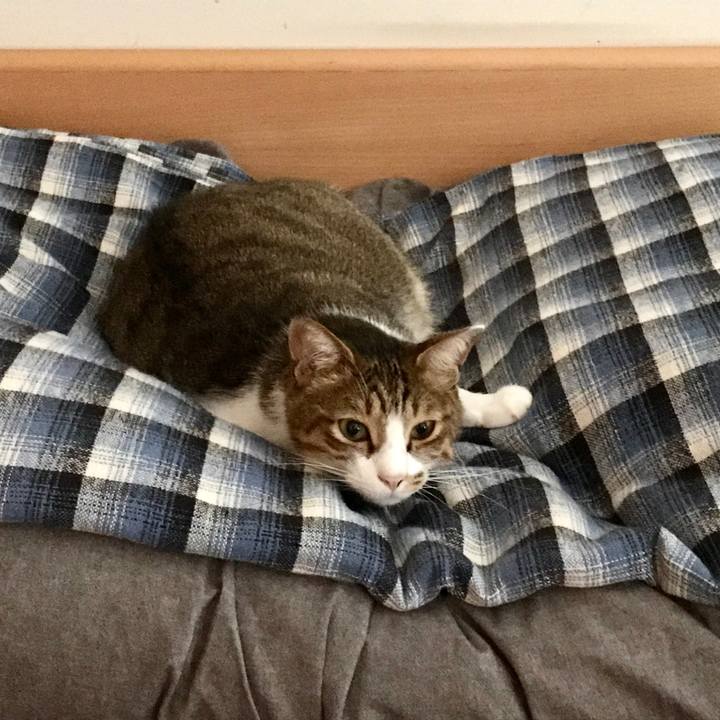 E8e16d92 4fbb 4253 ae28 5d589f052b77