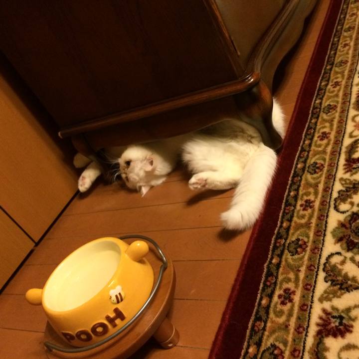 E8e194fe 6106 4d49 adf7 dc757bc4424d