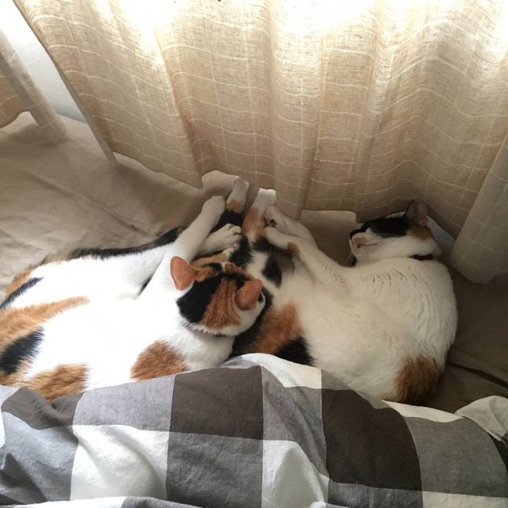 E8e19d26 b030 4beb 82c7 a497cd4f315d