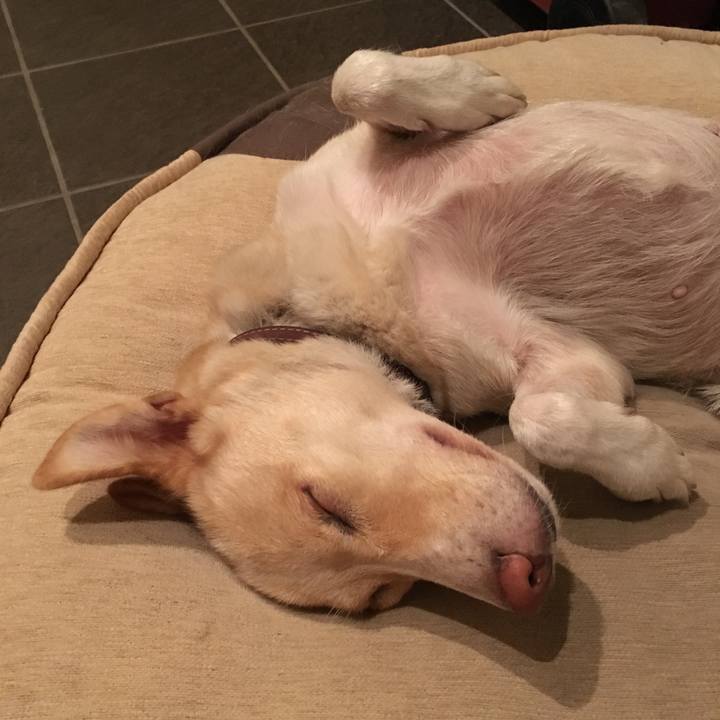 E8e3269c d2ee 43d7 badb 506d1ba91e09