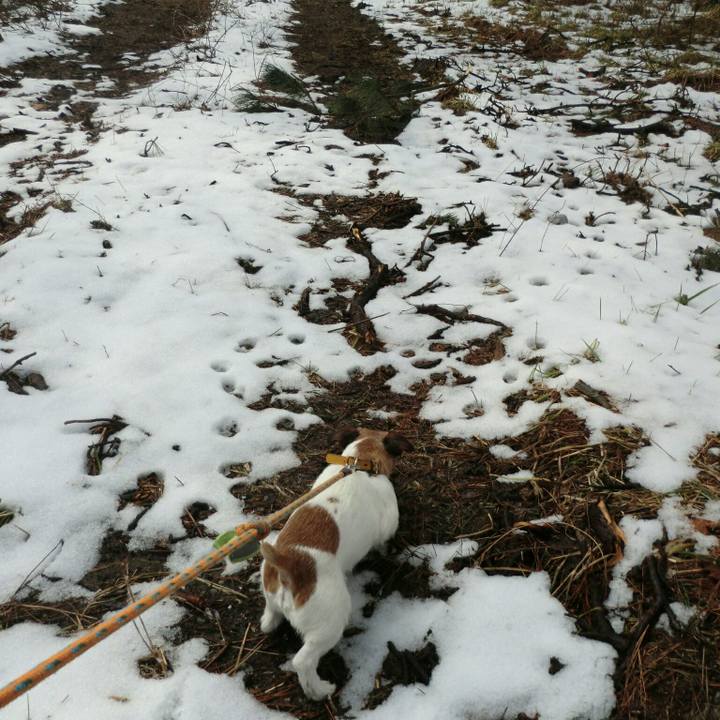 E8e339d3 c3d0 4c79 bb59 6cd7d43d75ac