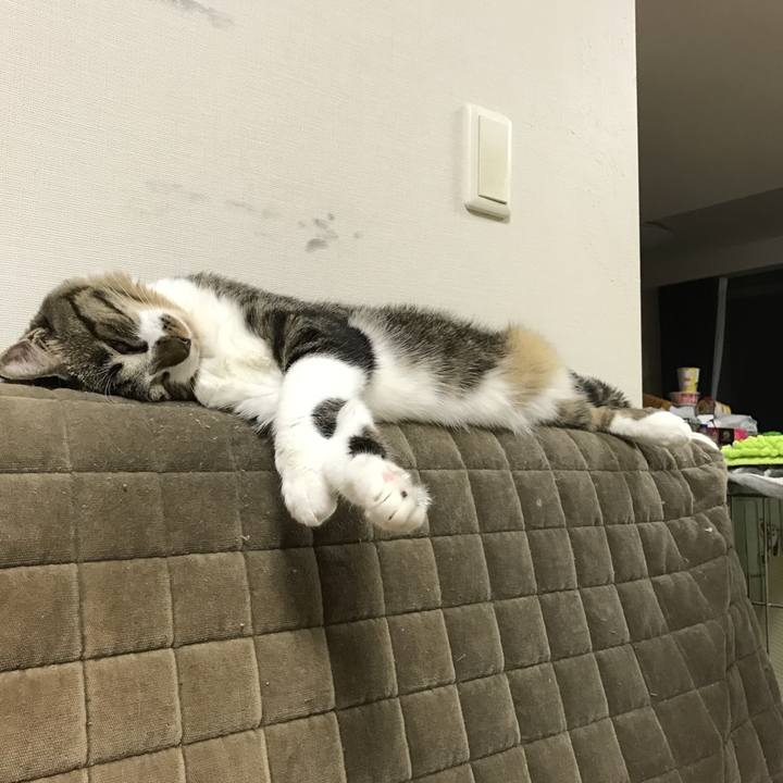 E8e35c48 c3b3 4d62 859b ccba2086aa2c