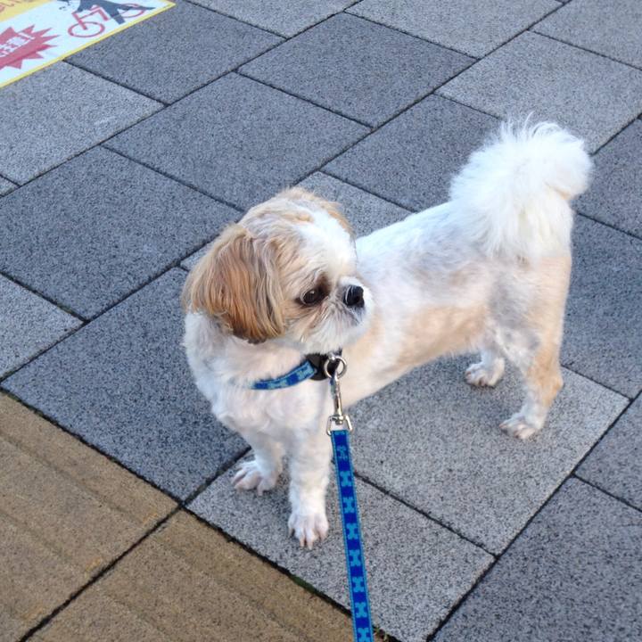 E8e5c55c bfd8 47b0 98c7 b9b837e1d5c1