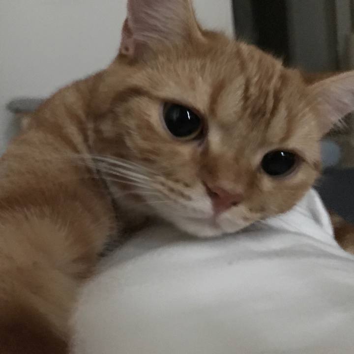 E8e5e3ef ef62 4766 abab 2be2e4cd0686