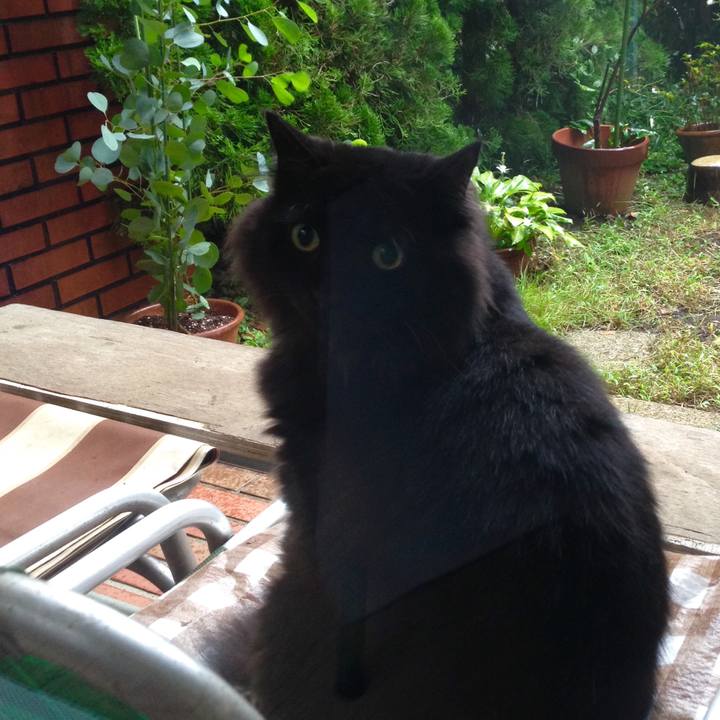 E8e600ed e3aa 4b6e ad09 d3d4487a2641