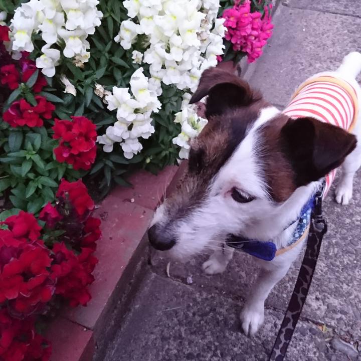 E8e63874 149a 4125 be0b a6284607bec8