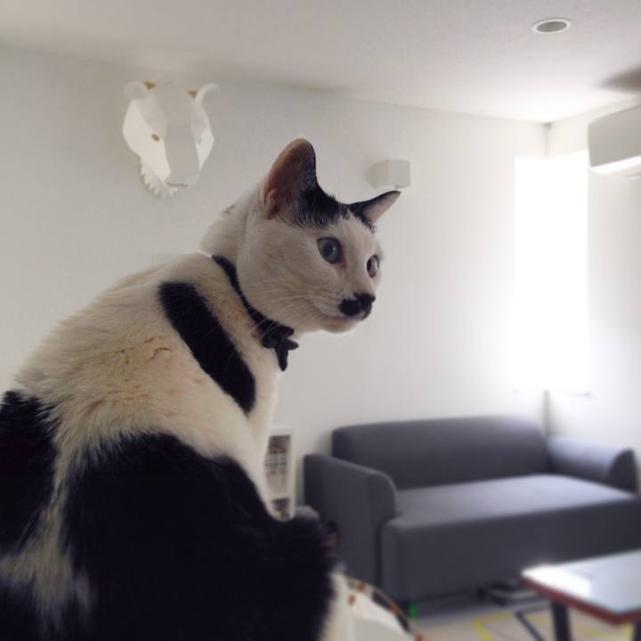 E8e6acc5 9659 478d a57c 8018b95dfd0b