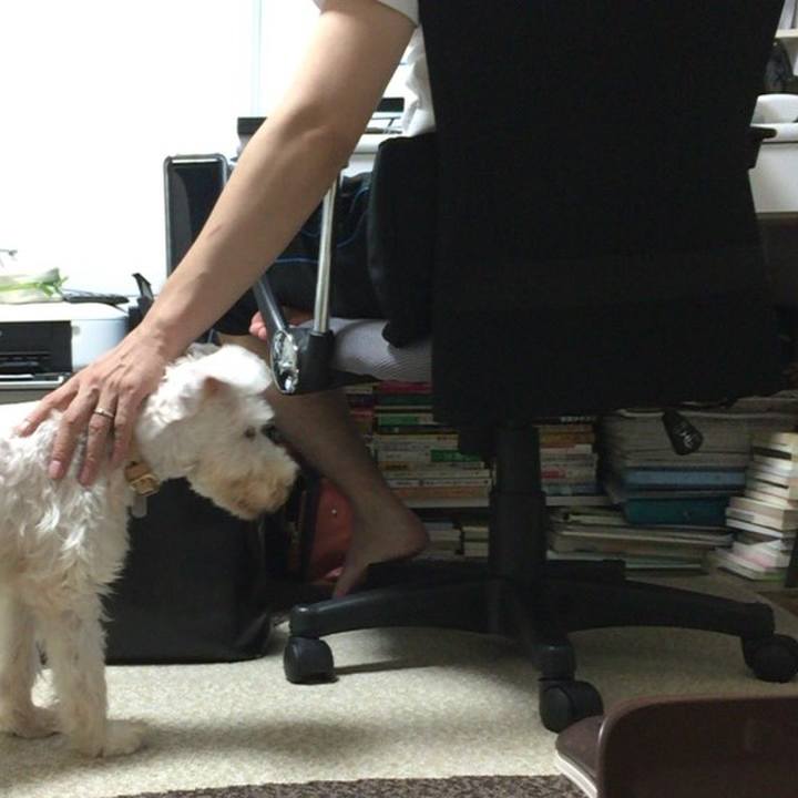 E8e6c2ec f89c 4310 9ff0 512030707111