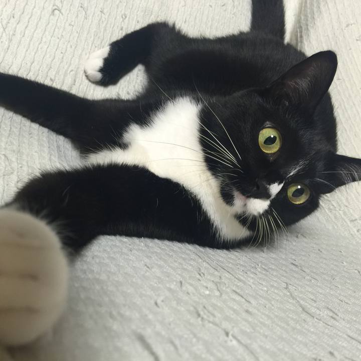 E8e6e3a3 fd01 4f13 8b2e 8dfceec41539