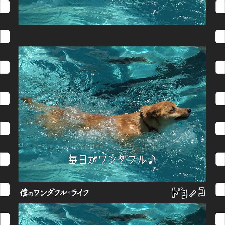 E8e6ed67 4c01 4d72 bd0f e9a741dcf79c