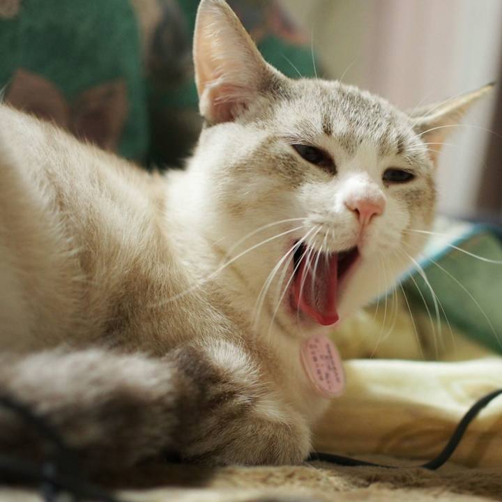 E8e75bf4 6462 4541 ba66 ac88a4c7a68c