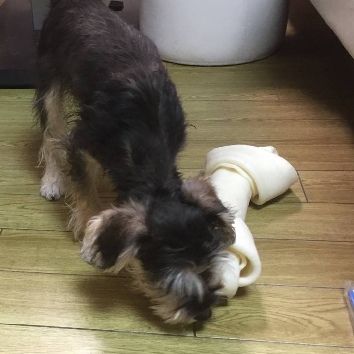 E8e760de da64 4d3a ad67 fc50cba3a20e