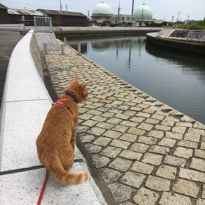 E8e787bd 04da 480a a632 903442e2b836