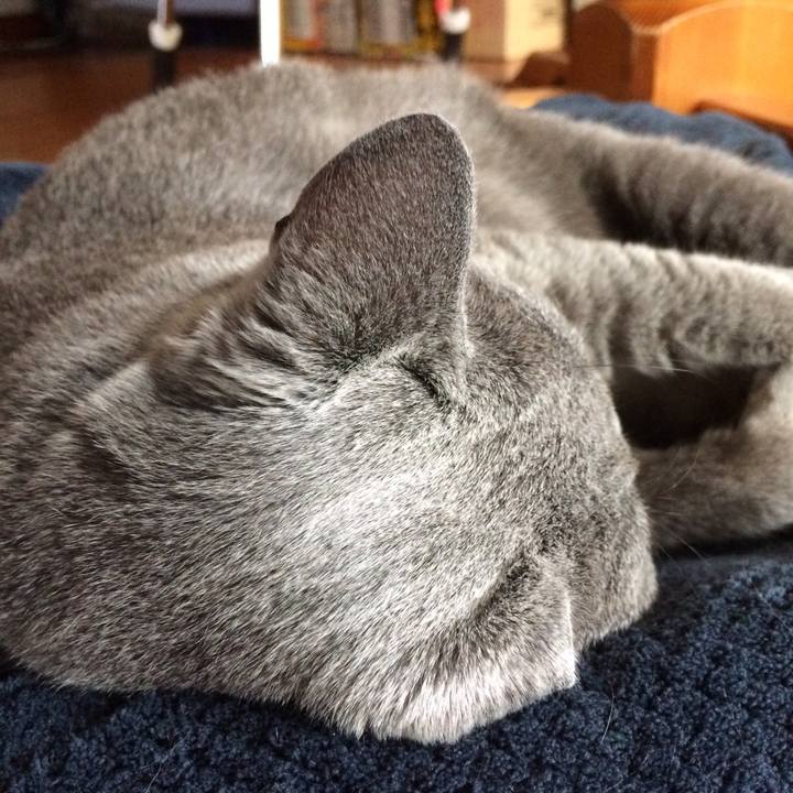 E8e81326 6437 4f26 87b5 5f467d8bfa90