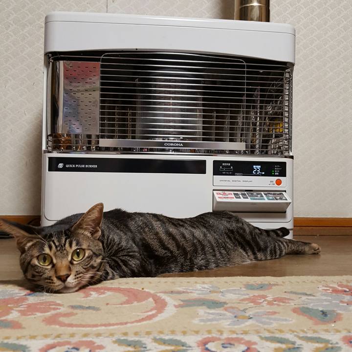 E8e84073 2dc4 4cb3 b2e5 86c872f80dc7