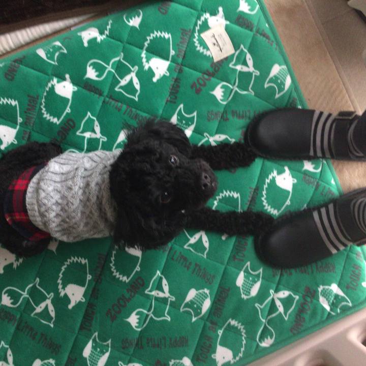 E8e908a0 e154 422f a4ff 8aa380608da5