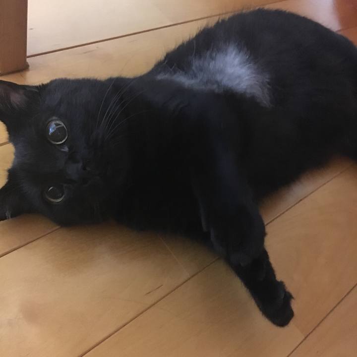 E8e92ff0 6ccc 46e2 9f37 7bef6e40517e