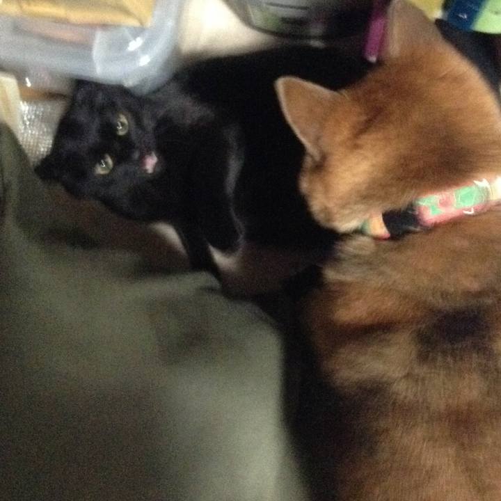 E8ea249e 5fd9 45ae 8486 59d1da8aa5aa