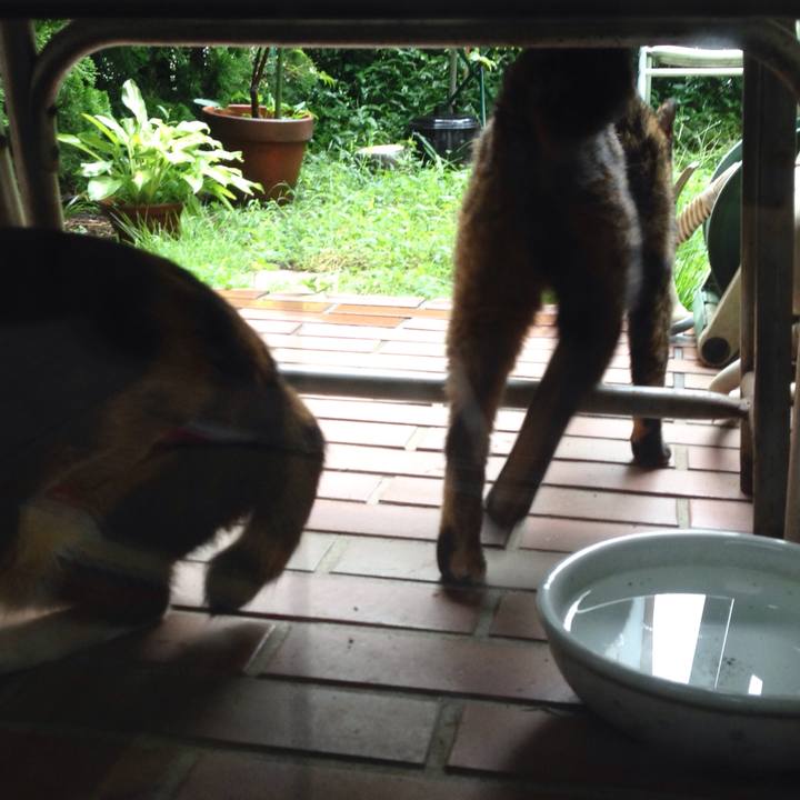 E8ea3c73 5271 4925 83b4 69f4aa02fcf4