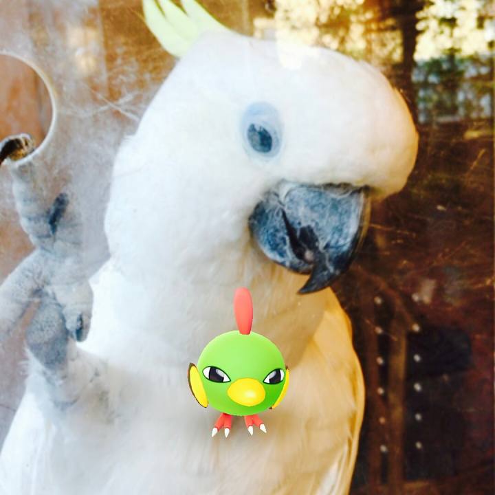 E8eb1bb9 0514 45a8 87d1 fd11631cdaac