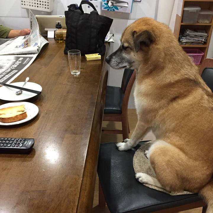 E8eb6d5f 6c67 4a35 8471 a8c9ab6e5ca3