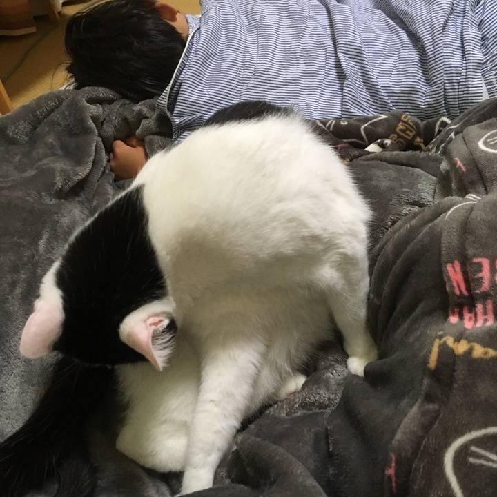 E8eb82a8 f4a6 4863 88b2 0ca86b8c4017