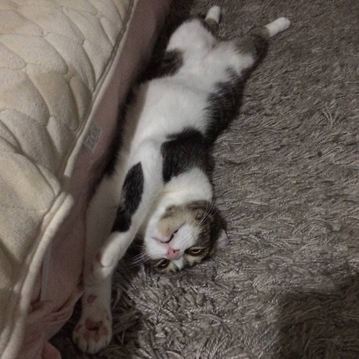 E8eb84d6 f3cd 4177 8f07 70919bceb560