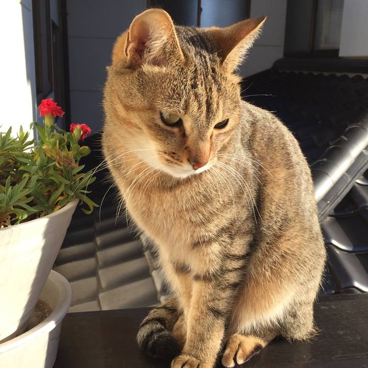 E8eb94d7 b3b2 478c b08f dbee06b7d043