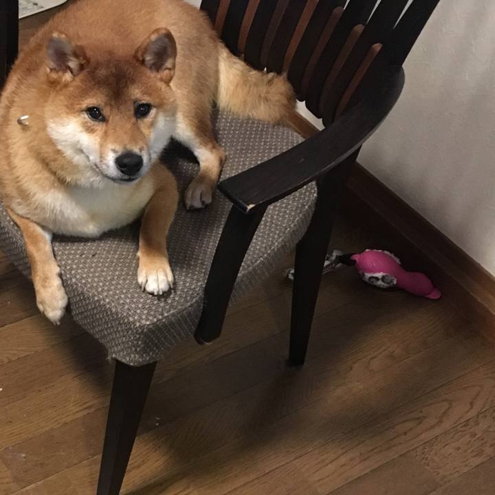 E8ed0ea3 ee96 4547 9d96 21fb744a3b35