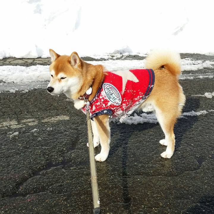 E8ed6fe4 8ac8 47de 859d 8daa08c9e9e5